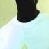 LAUTECH Evoting
