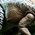 Mattel Jurassic Park 3 Hammond Collection Spinosaurus Review Jurassic Collector