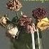 Floke Rose ANNA Lyric Video