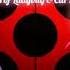 Miraculous Ladybug Ending Theme Extended
