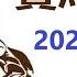 賽馬貼士 跑馬地賽事 2025年3月5日