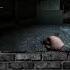 True Stalker Финал Арены Stalker Mods стрим 2024 S T A L K E R игра Games