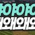 두산베어스vs기아타이거즈 야구팬들의 견제응원 배틀
