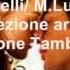 Amore Senza Fine
