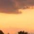 Bruckner Symphony No 7 Mvmt I Part 1