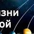 Поиски жизни в Солнечной системе Лекции по астрофизике астрофизик Сергей Попов Научпоп