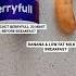 What Is BerryFull All About
