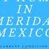 My Home In Merida Mexico Current Condition And Plans For Renovation