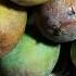 Dj Remix Song Newmusic 2025 Photography Mango