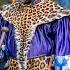 NaBaChu Yase Goli Icimelisa INkosazana Isiya Kogana Shembe UNyazi Lwezulu
