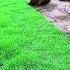 Gardenwork Cleaninghacks Viralshorts