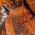 Autumn Music Relax