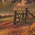 Time Is Approaching Sunset Evening Landscape Artist Victor Yushkevich