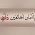 Yarabi Allah Islamicstatus Islam Deen Arabic Dua Islamicshorts Islamicdua