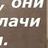 Они наши учителя они же и палачи наши Праведный Иоанн Кронштадтский