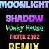 Dana Winner Moonlight Shadow Remix Tiktok 2023 Funky House DJ抖音版 Fk House Tiktok Douyin