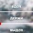 Дыхательная гимнастика Правильное дыхание для спокойствия Evoschool