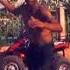 Dj Arobase Le Chouchouté Perroquet Clip Officiel