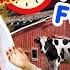 Farm Animals For Toddlers Ages 0 5 Taught By A Real Farmer