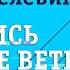 ВИКТОР ПЕЛЕВИН ЗАПИСЬ О ПОИСКЕ ВЕТРА Аудиокнига Читает Всеволод Кузнецов