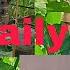 My Daily Life Yangam Gongo Yangam Vlog