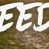 1 HOUR Gavin DeGraw Freedom Johnny S Song Lyrics
