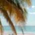 Eirc Clapton Mainline Florida