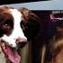 MADDIE SEARCH German FBI Forgot Something In Their Search For Human Remains Didn T They