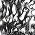 What Would You Know About Me Berserk Guts Berserk Shorts Edit