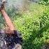 Viralvideo Vijay Ghayal Godda Jharkhand Bamba Rammandir Chanyan Devgharbabadham