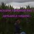 Это лето 2020 г В поисках леса Searched The Forest With The Children Found Cannabis Plantations