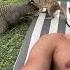 POV You Are Sunbathing In Namibia