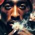 2Pac Rebound HD