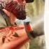 Maneater Beginning Cutscene Scaly Pete Maneater Trending Gaming Sharks Shorts