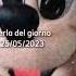 Perla Del Giorno Da Dove Viene Questa Topolina Meme Viral News Whatsappstatus Shorts