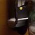 Project Pigeon WWII S Bird Brained Missile System Fyp Shorts Missile Military Tactical Orcon