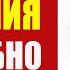 Техника дыхания Вима Хофа подробное объяснение с Доктором Малко