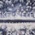 Askel Elere Polar Response