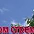 Так тяжко бывает на сердце порою