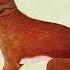 Vashti Bunyan Here Before