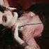 Vampire Of Dead Roses Deadly Nightshade