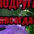 Открывай подруга двери