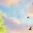 Whispering Meadows Relaxing Music