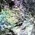 Netek