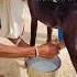 ख त क च य Shaam Chai Tea Rajasthan Evening Views Youtubeshorts Beauty Shorts Reel I M