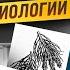 Вегетативные органы растений и их видоизменения Биология ЕГЭ Умскул