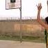 Basketball Nice Try Video District Orakzai Sports Basketball Football Pakistan Army Hangu Handball