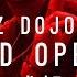 Kinjaz Dojo China Grand Opening