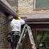 AVIVA Pest Control Squirrel Exclusion Pestcontrol