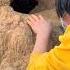 Catching Rabbit Cute Pet Debut Plan Rabbit Pastoral Cute Pet